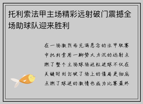 托利索法甲主场精彩远射破门震撼全场助球队迎来胜利